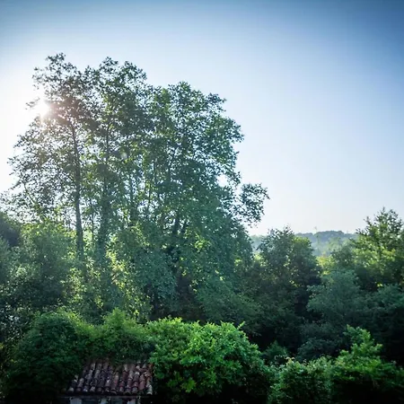 Les Chemins De Berdis Montfort-en-Chalosse