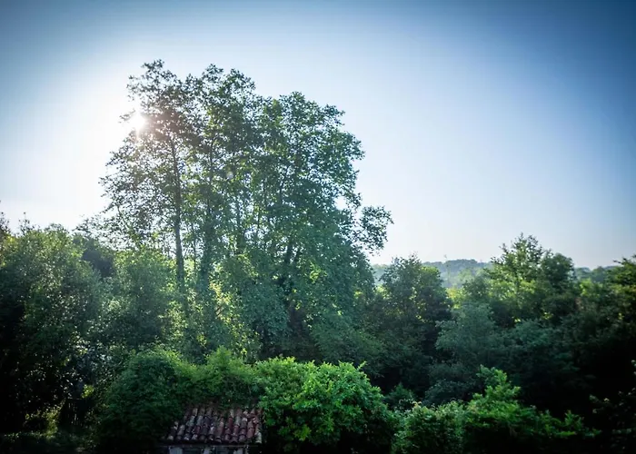 Les Chemins De Berdis Montfort-en-Chalosse