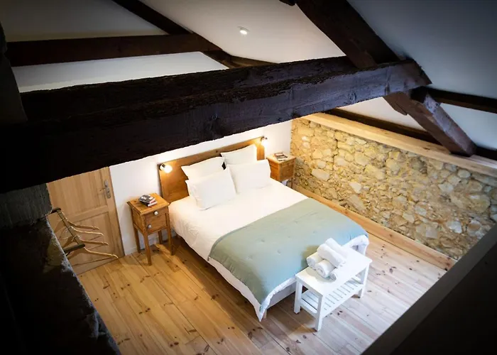 Les Chemins De Berdis 3* Montfort-en-Chalosse
