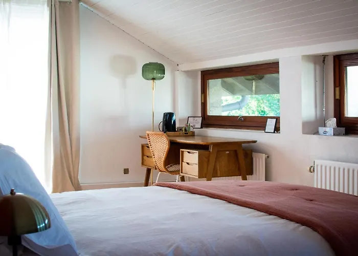Les Chemins De Berdis B&B Montfort-en-Chalosse